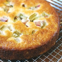 Rhubarb Yogurt Cake