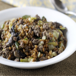 Bison Wheatberry Stroganoff