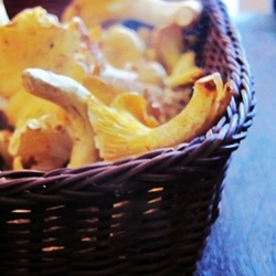 Charming chanterelles