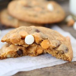 Butterscotch Pudding Cookies