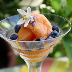 Nectarine Prosecco Sorbet