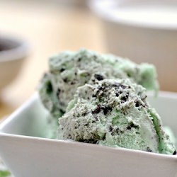 Mint Chocolate Chip Ice Cream