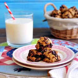 Breakfast Cookies