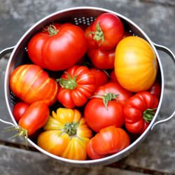 Heirloom Tomato Sauce