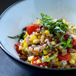 sweet corn + tomato farrotto