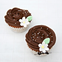 Chocolate Ganache Cupcakes