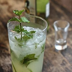 Mojito