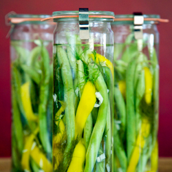 Pickled Dilly Green Beans