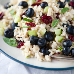 Brown Rice Blueberry Salad