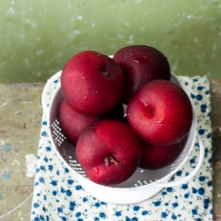 Plum Upside-Down Almond Cake