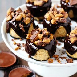 Reese’s Mini Cheesecakes