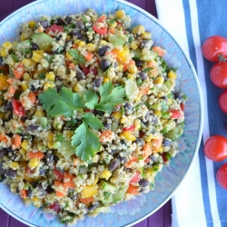 Quinoa Salad with Blackened Prawns