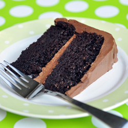 Double Chocolate Layer Cake