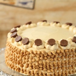 Chocolate and Peanut Butter Cake