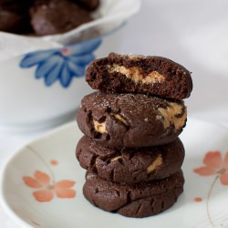 Chocolate Peanut Butter Cookies