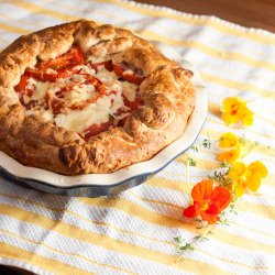 Homey Tomato Cheddar Pie