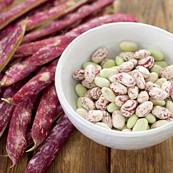 Borlotti Beans from Seed to Kitchen