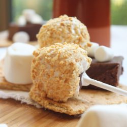 S’mores Fudge Pops