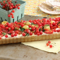 Fresh Tomato Tart