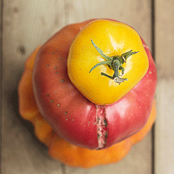 Raw-Packed Tomatoes