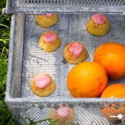 Couscous and Blood Orange Mini Cake