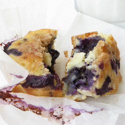 Blueberry Muffins