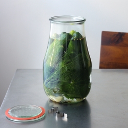 Fermented Garlic and Dill Pickles