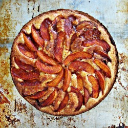 Spiced Nectarine Cake