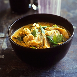 Indian chicken curry