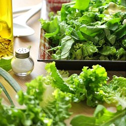 Salad w/ Lettuce, Rocket and Yogurt