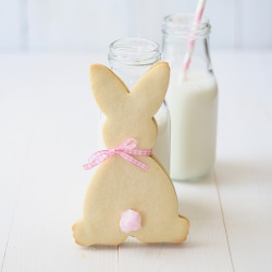 Rabbit cookies