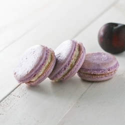 Plum Macarons