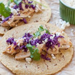 Beer braised chicken verde tacos