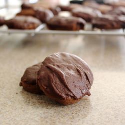 Chocolate Moon Cookies