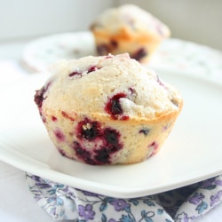 Apple and Currant Muffins