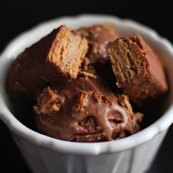 Mocha Coffee Crisp Ice Cream