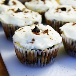 Black-Bottom Cupcakes