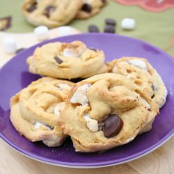 Pumpkin Swirl Sugar Cookies