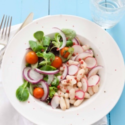 Bean and radish salad