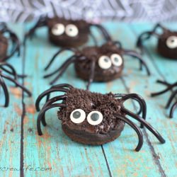 Chocolate Pumpkin Spider Donuts