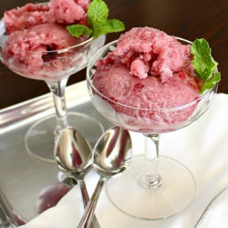 Fresh Grape & Champagne Sorbet