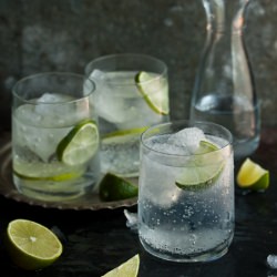 how to make the best gin and tonic