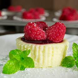 Raspberry Cheesecake Cupcakes