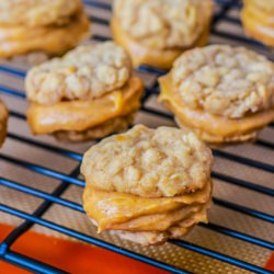 Oatmeal Pumpkin Creme Pies