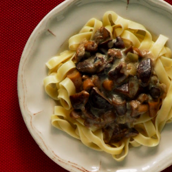 Pasta w/ Mushroom Sauce