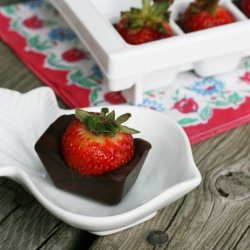 Chocolate Covered Strawberries