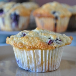 Blueberry Muffins