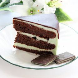 Mint Chocolate Cake