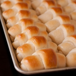 Dinner Rolls