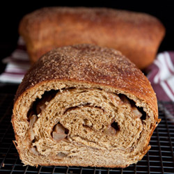 Apple-Cinnamon Swirl Pumpkin Yeast